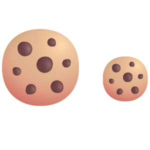 トゥーランプランのクッキー